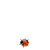 gif coccinelle - Free animated GIF