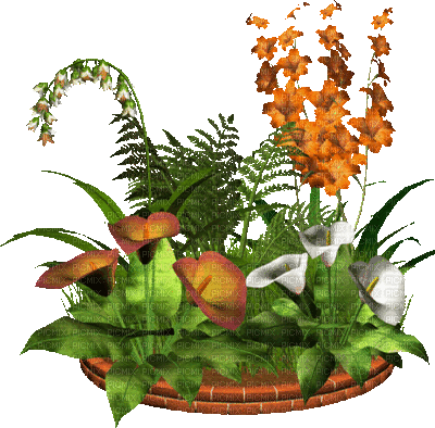 Blumenkorb - Besplatni animirani GIF