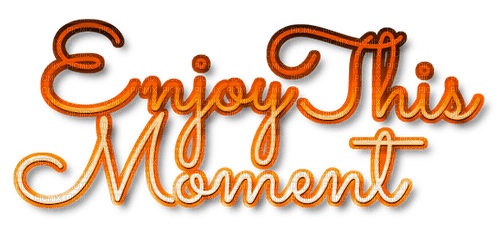 Enjoy This Moment.Text.Orange - KittyKatLuv65 - Free PNG
