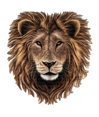 lion bp - фрее пнг