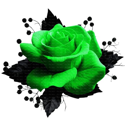 Gothic.Rose.Black.Green - zadarmo png