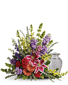 Kaz_Creations Deco Flowers Vase Colours Plant Sympathy - png ฟรี