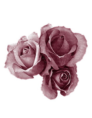fleur violet.Cheyenne63 - Free PNG