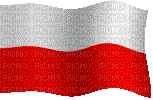 flaga Polski - Δωρεάν κινούμενο GIF