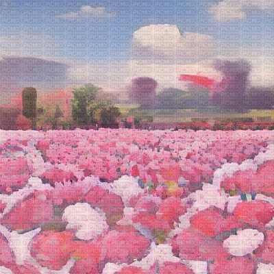 Pink Flower Field Retro - png ฟรี