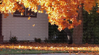 autunno - Gratis animerad GIF