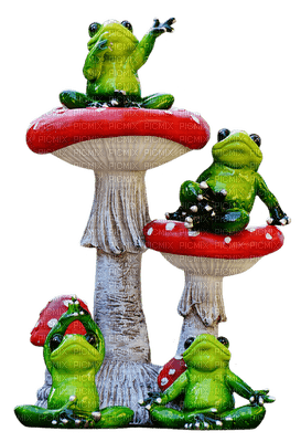 sammakko, frog, frogs, mushroom - Free PNG