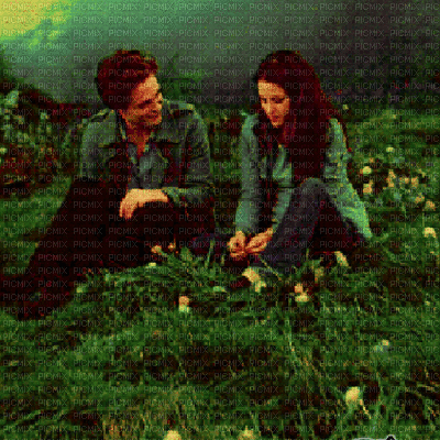 edward and bella in the meadow breaking dawn part 2