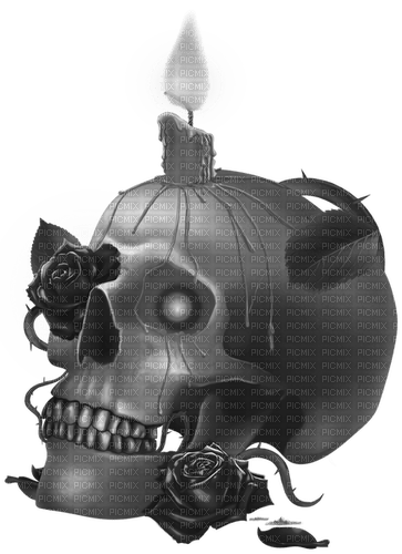 Skull.Candle.Roses.Black.White - δωρεάν png