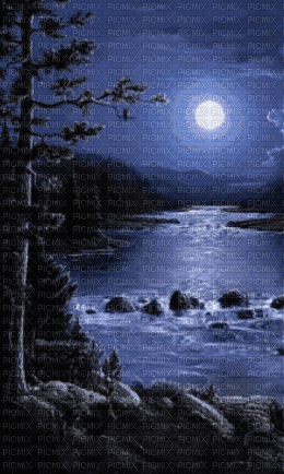 månsken --  moonlight - water - Bezmaksas animēts GIF