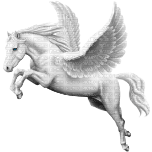 unicornio - zdarma png