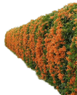 Gartenwand - nemokama png