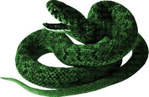 serpent - png ฟรี