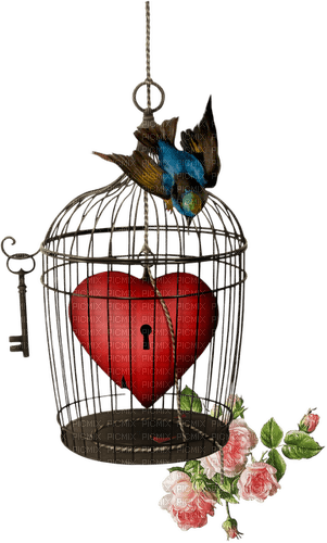 Cage.Bird.Heart.Coeur.Deco.Victoriabea - ücretsiz png