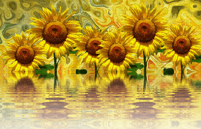 sunflowers bp - zdarma png