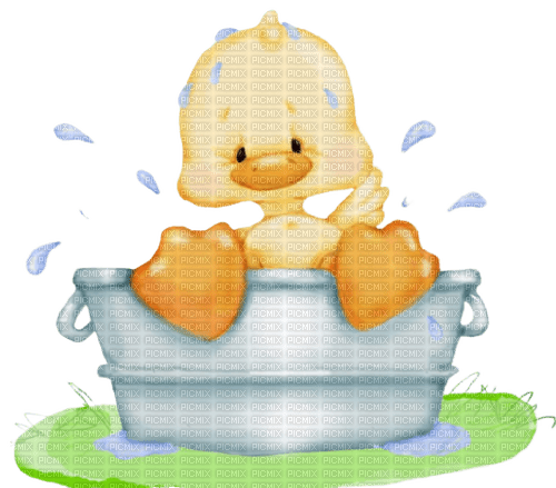 duck chick poussin küken bird yellow fun  tube kawaii mignon summer ete oiseau garden - png gratis