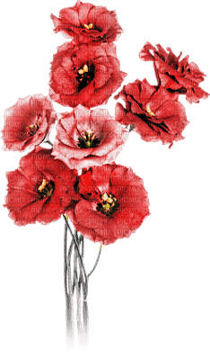 soave deco poppy branch spring flowers - darmowe png