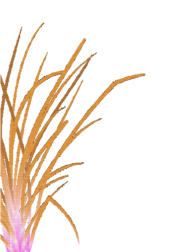 Трава - Gratis geanimeerde GIF