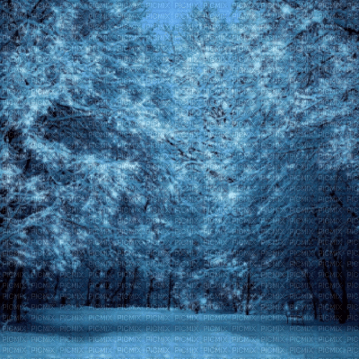 Snowy Forest - Animovaný GIF zadarmo