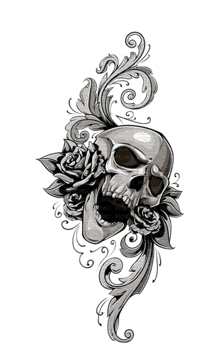skull by nataliplus - ücretsiz png