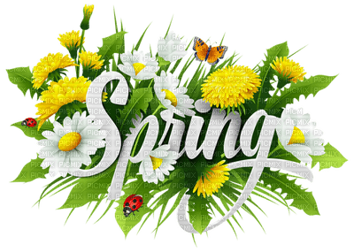 Kaz_Creations Spring Flowers Text - PNG gratuit