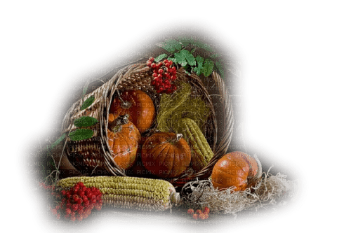 autumn basket fruits dubravka4 - 免费PNG