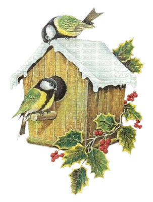 Winter bird_hiver volaille - gratis png