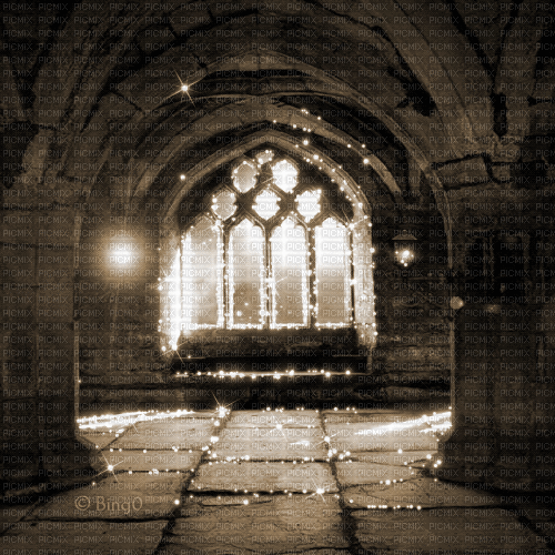 Y.A.M._Gothic Fantasy background Interior sepia - 免费动画 GIF
