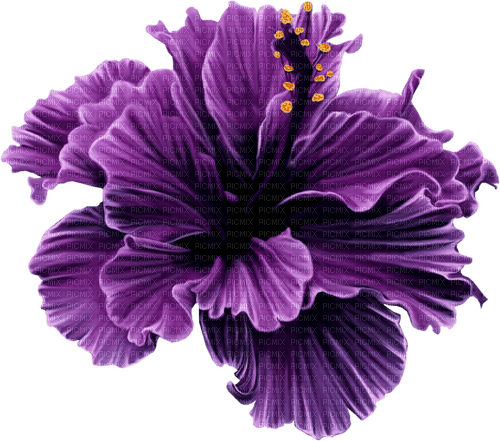 purple flower 5 - бесплатно png