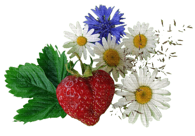 patymirabelle fleurs 14 juillet - gratis png