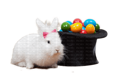 Pâques.Easter.Bunny.Pascua.Eggs.œufs.Rabbit.Lapin.Victoriabea - Free PNG