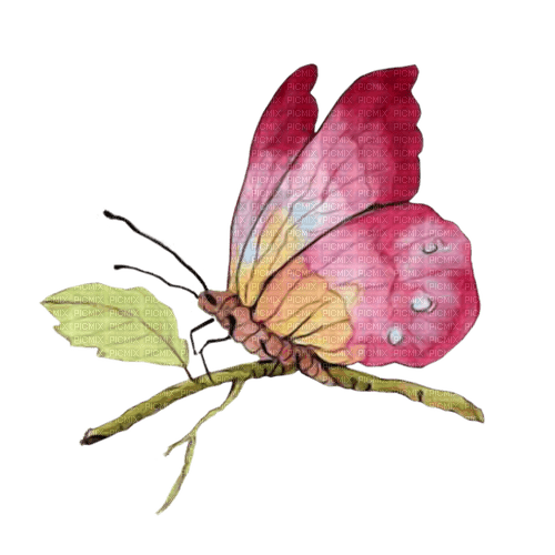 Акварельная бабочка - 無料png