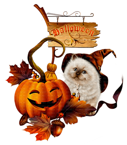 halloween cat with pumpkin by nataliplus - besplatni png