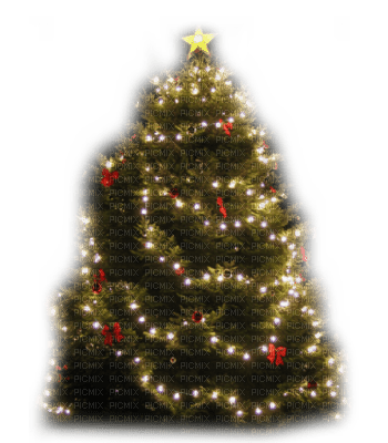 christmas tree - png gratuito