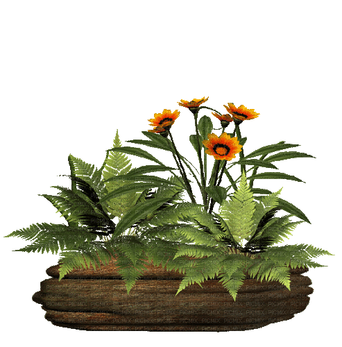 Maceta de flores - Nemokamas animacinis gif