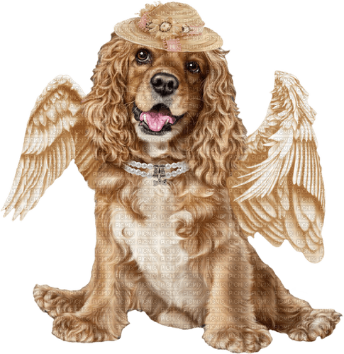 dog angel by nataliplus - 無料png