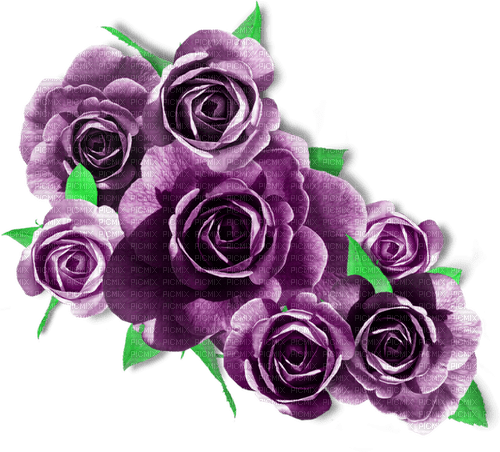 Roses.Purple - png ฟรี