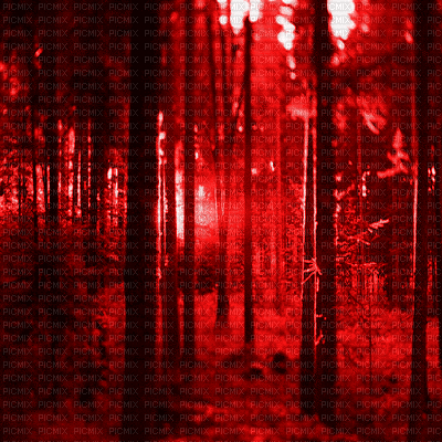 forest - 免费动画 GIF