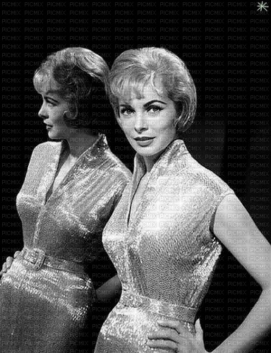 Janet Leigh - δωρεάν png