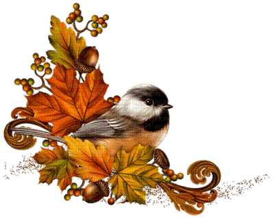 autumn bird by nataliplus - PNG gratuit