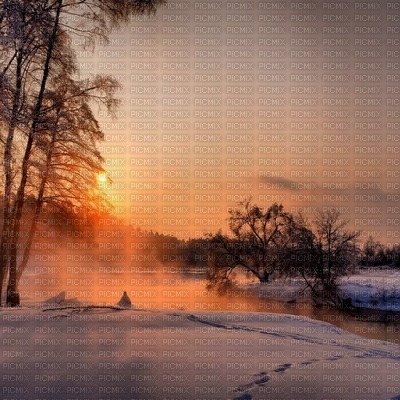 winter  background by nataliplus - 免费PNG