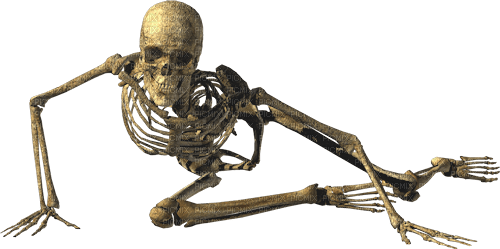 Halloween. Squelette.skeleton.Victoriabea - PNG gratuit