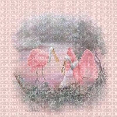 kikkapink spring painting background pink - ücretsiz png