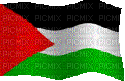 bandera  de palestina - Animovaný GIF zadarmo