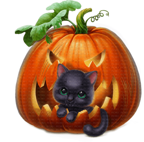 halloween pumpkin with cat by nataliplus - zdarma png