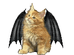 kitten with bat wings - Gratis animeret GIF