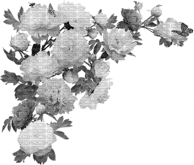 flowers - δωρεάν png