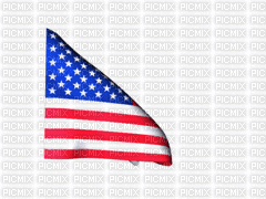 USA Flag - Zdarma animovaný GIF