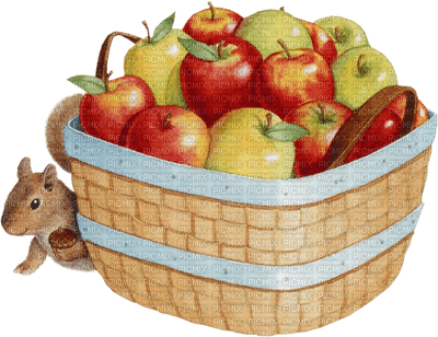 manzana - png gratis