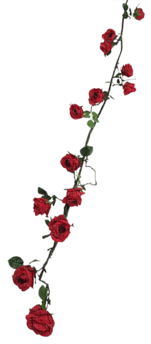 Red.Roses.Branch.Branche.Victoriabea - PNG gratuit